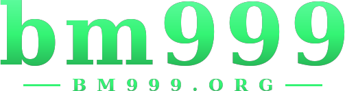 bm999 logo